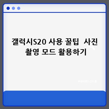 310087c65c434c8c670108c494bed2e9.jpg