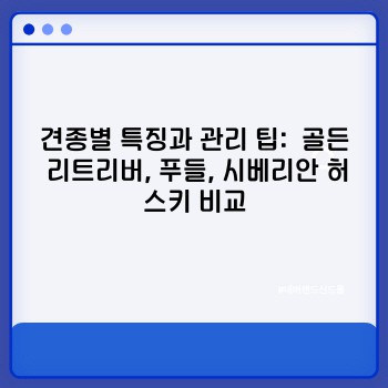dec2aa4a2e0b6d46a222671ad7afbe8c.jpg