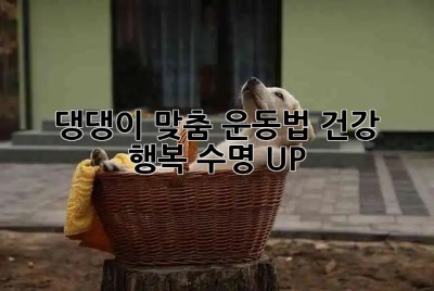 🐶 댕댕이 맞춤 운동법🐾 건강, 행복, 수명 UP! 💪