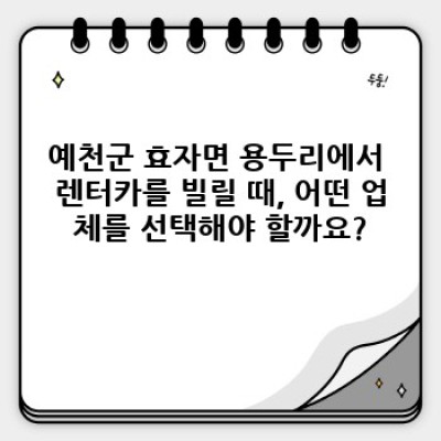 예천군 효자면 용두리 렌터카 추가 서비스 완벽 가이드: 렌트카 예약부터 반납까지