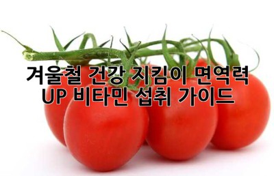 겨울철 건강 지킴이: 면역력 UP 비타민 섭취 가이드
