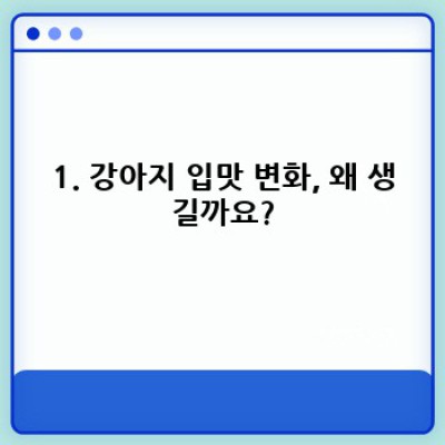 까탈쟁이 내 강아지, 강아지입맛 극복 완벽 가이드!  (2024 최신 정보)