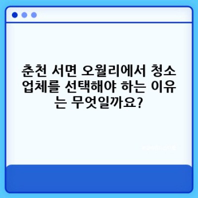강원도 춘천시 서면 오월리 청소업체 신속 처리: 시간 절약, 스트레스 해소, 깨끗한 공간 확보