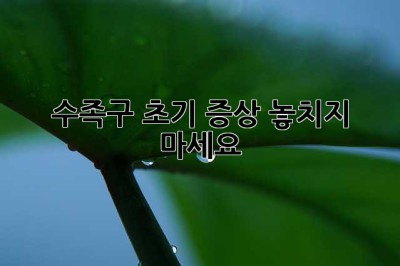 수족구 초기 증상: 놓치지 마세요!