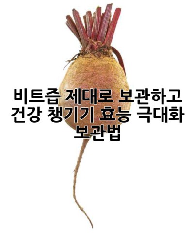 비트즙 제대로 보관하고 건강 챙기기! 효능 극대화 보관법