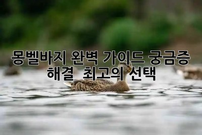 ⛰️ 몽벨바지 완벽 가이드: 궁금증 해결 & 최고의 선택! 👖