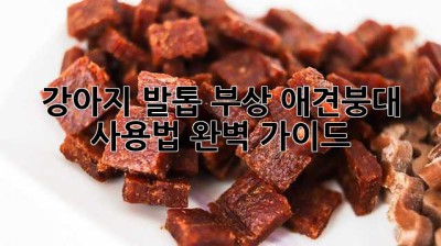 강아지 발톱 부상? 애견붕대 사용법 완벽 가이드!