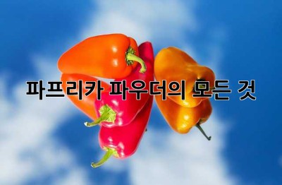 파프리카 파우더의 모든 것 ✨