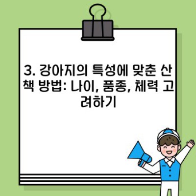 강아지 산책 완벽 가이드: 문제 해결부터 꿀팁까지! 행복한 산책 만들기