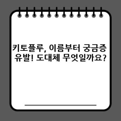 키토플루란 무엇일까요? 효과, 부작용, 주의사항 완벽 가이드