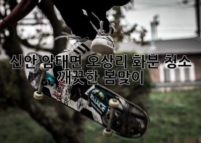 신안 암태면 오상리 화분 청소: 깨끗한 봄맞이 🌸