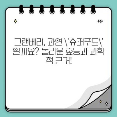 크랜베리 효능과 부작용 완벽 정복: 섭취방법, 종류 비교, 주의사항까지!