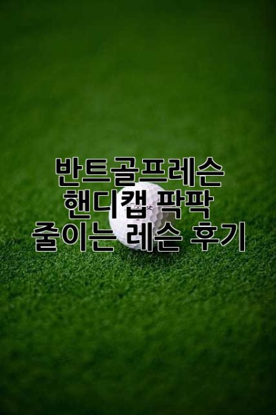 반트골프레슨: 핸디캡 팍팍 줄이는 레슨 후기!