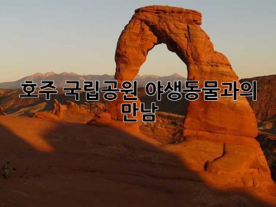 호주 국립공원, 야생동물과의 만남