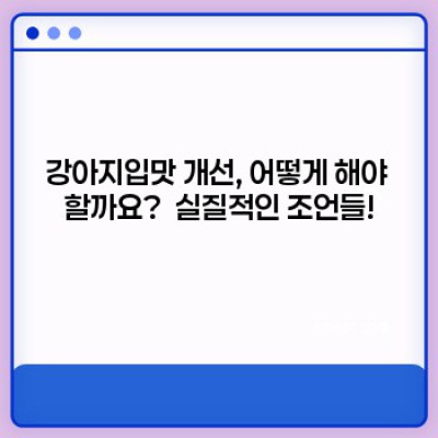 강아지입맛: 까다로운 당신의 식탁, 이젠 걱정 끝!