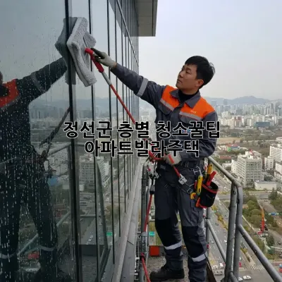 🏡 정선군 층별 청소🧹꿀팁: 아파트/빌라/주택 ✨