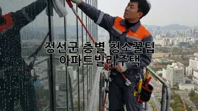 🏡 정선군 층별 청소🧹꿀팁: 아파트/빌라/주택 ✨