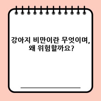 강아지 비만: 원인, 증상, 예방 및 관리 완벽 가이드