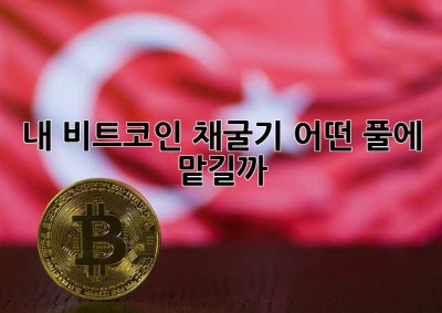 내 비트코인 채굴기, 어떤 풀에 맡길까? 🤔