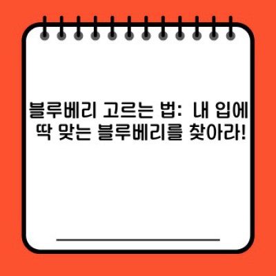 블루베리 완전 정복: 건강 효능부터 재배, 고르는 법까지!  모든 궁금증 해결!