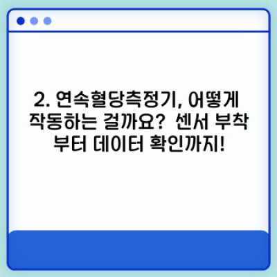 연속혈당측정기, 궁금증 완벽 해소! 선택 가이드부터 실제 사용 후기까지
