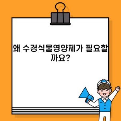 수경재배 식물이 쑥쑥! 수경식물영영제 완벽 가이드: 종류, 선택법, 사용법 A to Z