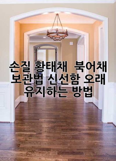 손질 황태채 & 북어채 보관법: 신선함 오래 유지하는 방법!