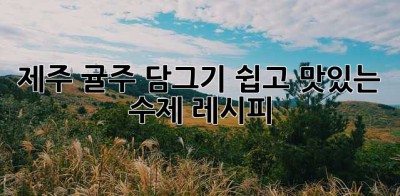 제주 귤주 담그기: 쉽고 맛있는 수제 레시피🍊