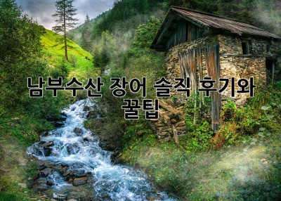 남부수산 장어: 솔직 후기와 꿀팁!