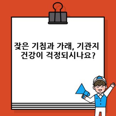 기관지 건강 지키는 최고의 음식들: 증상 완화부터 예방까지!