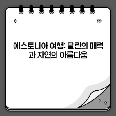 에스토니아 완벽 가이드: 디지털 선도국가의 매력과 현실