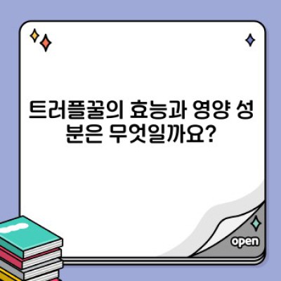 트러플꿀 완벽 가이드: 궁금증 해소와 활용법 총정리