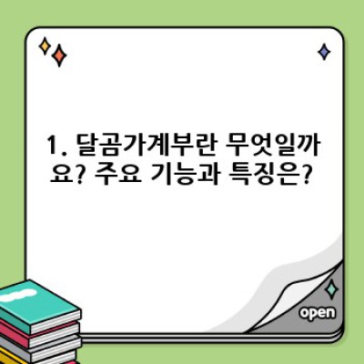 달곰가계부 사용 후기와 자주 묻는 질문 총정리: 나에게 맞는 가계부인가요?