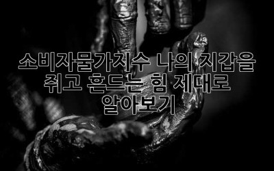 소비자물가지수: 나의 지갑을 쥐고 흔드는 힘, 제대로 알아보기