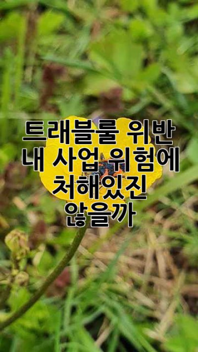 트래블룰 위반?  내 사업, 위험에 처해있진 않을까?